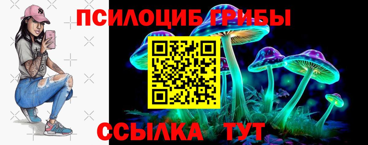 Галлюциногенные грибы ЛСД Петрозаводск